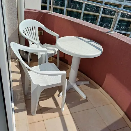 Admiral Plaza 35 -studio-sunny *